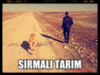 /album/resim-galerisi/a1509259-394667967337276-1534794131-n-jpg/