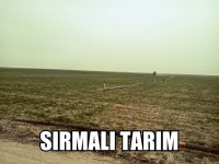 /album/resim-galerisi/a1920446-405889452881794-2118966147-n-jpg/